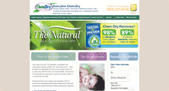 Desktop Screenshot of executivechemdry.com