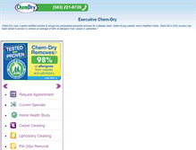 Tablet Screenshot of executivechemdry.com
